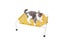 Loading Image 1 of 2