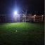 NEW new Chicken Coop Hen House Solar Light Sensor LED Lights*Hot SALE Carousel 15