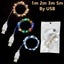 String Lights Copper Silver Wire Garland Light 1/2/3/5M Waterproof Carousel 5