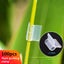 100pcs Special Grafting Clips, Tomato Seedling Grafting Clip, Carousel 5