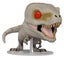 Jurassic World 3: Dominion - Atrociraptor (Alternative Pose) Pop! Vinyl (Ghost) Carousel 1
