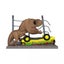 Loading Image 1 of 1