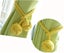 2pcs Curtain Holdbacks Hand Knitting Braided Drapery Tiebacks With Single Ball Carousel 3