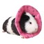Dog Cat Christmas Costume, Funny Pet Dress, Puppy Outfits Xmas Apparel Clothes Carousel 2