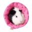 Dog Cat Christmas Costume, Funny Pet Dress, Puppy Outfits Xmas Apparel Clothes Carousel 4