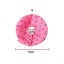 Dog Cat Christmas Costume, Funny Pet Dress, Puppy Outfits Xmas Apparel Clothes Carousel 5