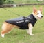 Winter Dog Coats, Warm Dog Jacket Vest 4XL Carousel 8