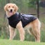 Winter Dog Coats, Warm Dog Jacket Vest 4XL Carousel 7
