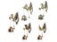 Animal Wind Chime Magnetic Doorbells For Living Room Garden Window Door Metal Carousel 4