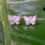 Butterfly Shaped Pink Abalone Earrings Carousel 1