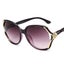 Sunglasses Women Polarized Fashion Eyewear Female Sun Glasses Goggles Carousel 1