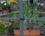Greenhouse 8ft Oasis Hex Carousel 8