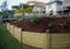 PINE RETAINING TIMBER - TG&V 150 x 50mm H4 -337.2m -TS5260 - $5.97 per m Carousel 6