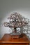 Copper Bonsai Tree Sculpture hand made Carousel 6