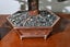 Copper Bonsai Tree Sculpture hand made Carousel 8