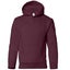 Gildan Heavy Blend Childrens Unisex Hooded Carousel 1