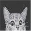 Loading Image 1 of 5