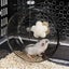 Super Mute Spinner 1 Inches Silent Hamster Wheel For Small Hamsters Carousel 4