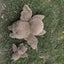 Cute Soft Bat Plush Toy Doll Bag Pendant Decoration Carousel 4