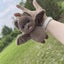 Cute Soft Bat Plush Toy Doll Bag Pendant Decoration Carousel 5