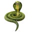 Loading Image 1 of 5