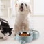 Double Pet Bowl Automatic Pet Double Bowl Cat Bowl Double Raised Cat Bowl For Carousel 1