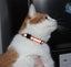 6pcs Cat Collar Random Color Carousel 2