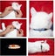 6pcs Cat Collar Random Color Carousel 3