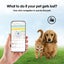 Smart Tracking Location Pet Necklace Collar GPS Tracker for Dog Cat Carousel 3