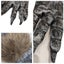 1 Pair Wolf Gloves Halloween Decor Mask Animal Mask Set Werewolf Masquerade Wo Carousel 4