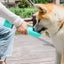 Dog Water Bottle With Filter Portable 2in1 Dog Water Bottle Cup With Food Cont Carousel 4