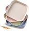 4 Assiettes Squares De 15 Cm En Paille De Bl Incassables Et Lgres Pour Amuse-b Carousel 1