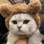 Cartoon Bear Shape Pet Cap Kitten Hat Pet Supplies For Everyday Decoration Chr Carousel 4