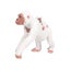 Loading Image 1 of 3