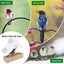 Clear Window Bird Feeder Wild Bird Feeder 3 Suction Cup Feeders Carousel 4