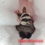 Guinea Pig Cage Accessories Bedding Warm Hammock For Parrot Ferret Squirrel Ha Carousel 4