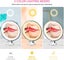 Rechargeable 10x Magnifying Lighted Makeup Mirror Adjustable With 3 Color Modes Carousel 2