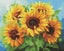 5d Diamond Painting Kit Sunflower Jewelry Decoration For Adults And Kids Carousel 1