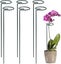 Plant Support Plant Support Stakes Ring Cage Metal Garden Plant Stake Plant S Carousel 1