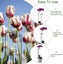Plant Support Plant Support Stakes Ring Cage Metal Garden Plant Stake Plant S Carousel 3