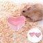 2pcs Small Animal Bowls Hamster Bowl Small Animals Ceramic Food Water Bowl Ham Carousel 5