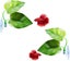 Fish Leaf Pad natural Organic Comfortable Rest Area For Fish Aquarium Carousel 1