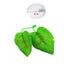 Fish Leaf Pad natural Organic Comfortable Rest Area For Fish Aquarium Carousel 3
