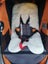 Orange Bob Revolution jogging stroller with accessories Carousel 17