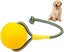 Dog Interactive Ball Launcher For Pet Play Training Exercise With Rope - 7cm Di Carousel 1
