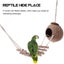 Reptichip Hideouts Ladder Texture Provide Food Gecko Husk Hut Reptile Hideouts Carousel 3