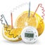 Lemon Clock Carousel 2