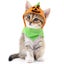 Halloween Pet Products Cat Headwear Dog Halloween Pumpkin Hat Pet Halloween Co Carousel 1
