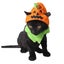 Halloween Pet Products Cat Headwear Dog Halloween Pumpkin Hat Pet Halloween Co Carousel 2