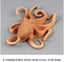 100 Pcs 11cm*8cm Sale Signs For Retail Store Blank Retail Sale Labels Eyecatc Carousel 4